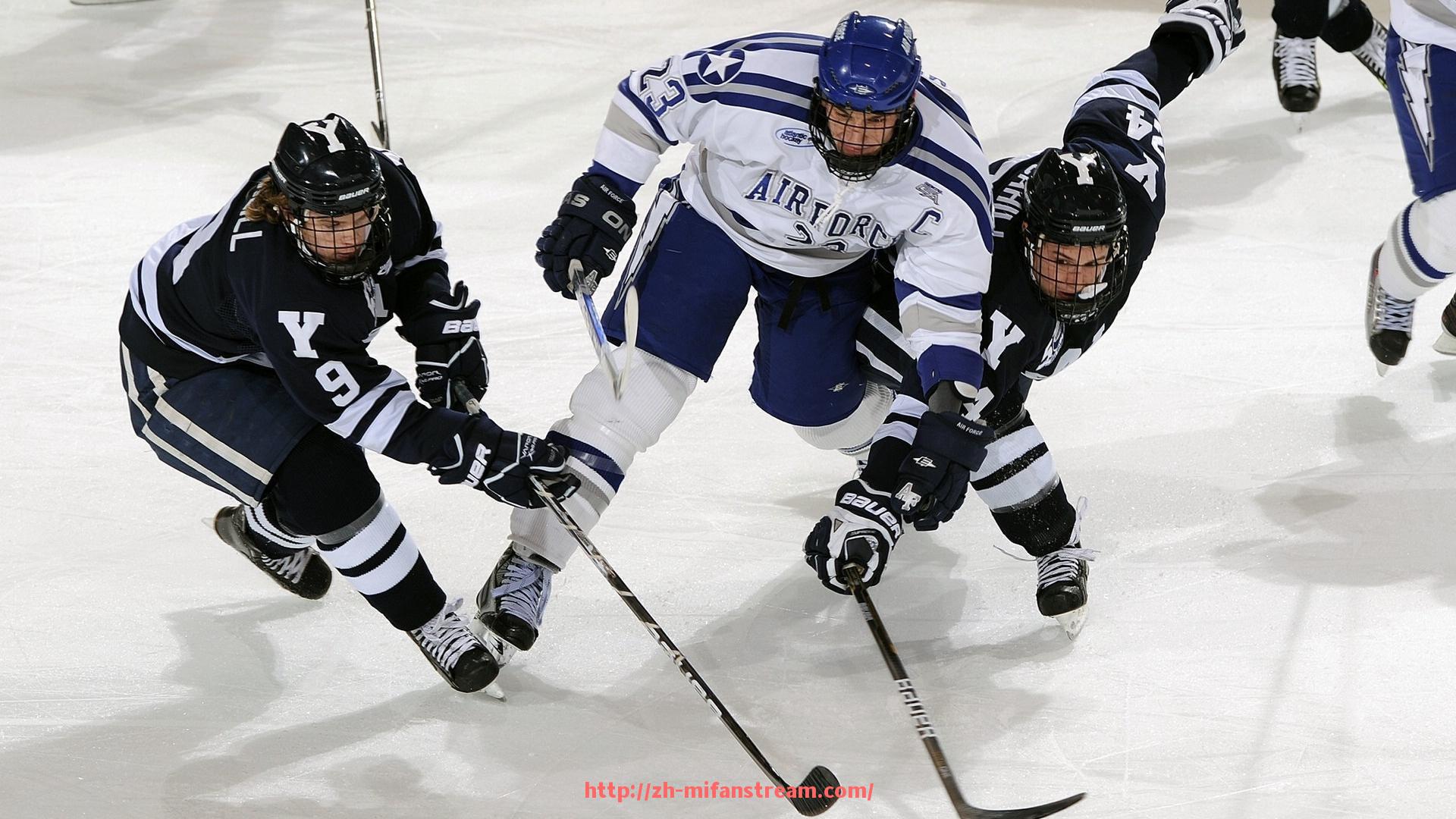 秘饭直播-农村常见健身器材及其锻炼方式